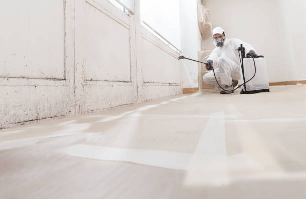 24/7 Emergency Crawl Space Mold Removal experts in Narberth, PA