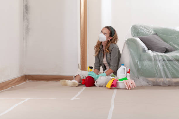 Reliable Crawl Space Mold Removal contractor in Narberth, PA by WQB Mold Removal
